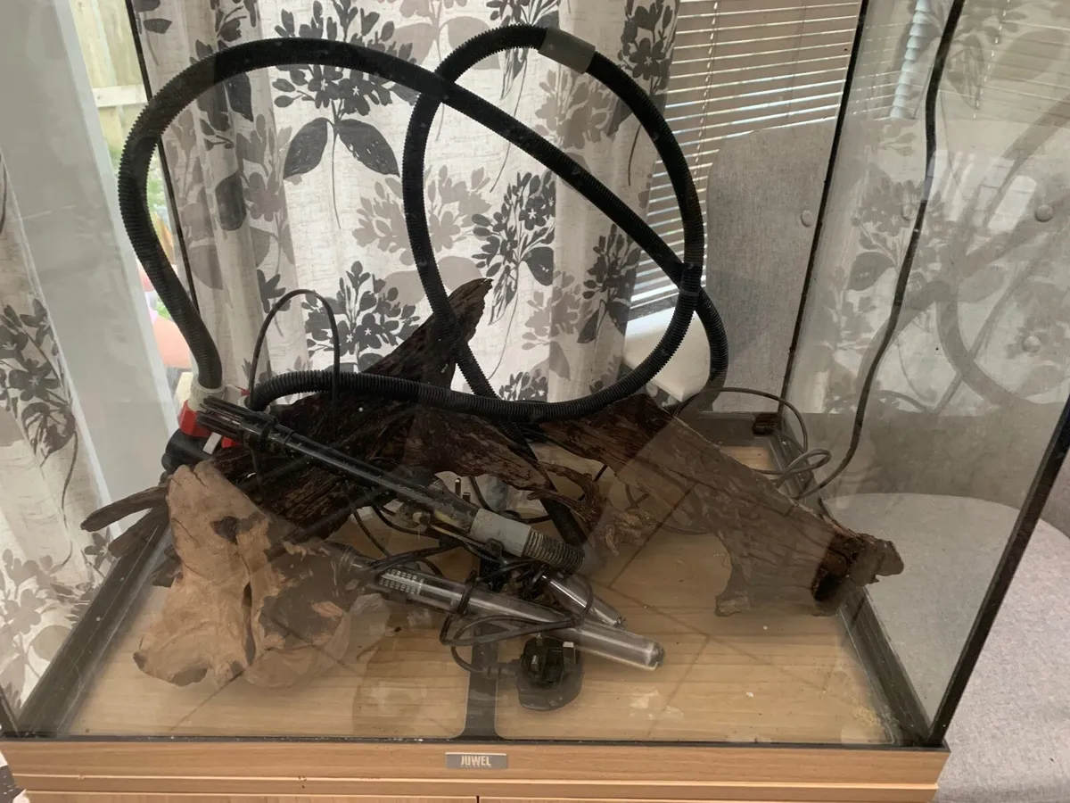 120 l Fish tank - Image 4