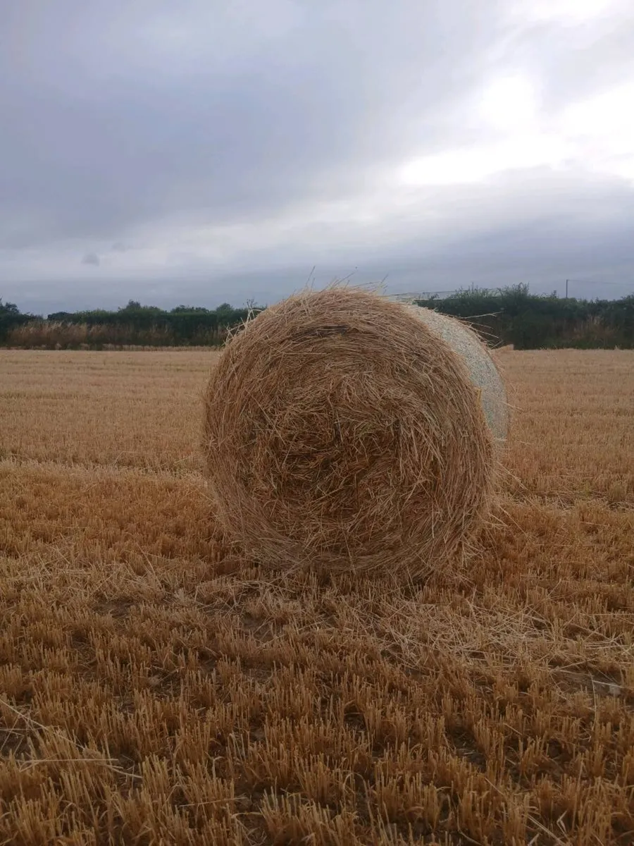 Straw