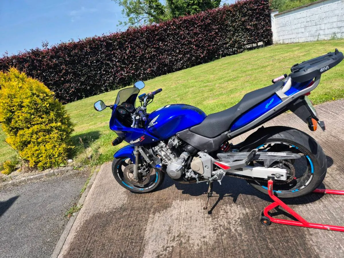Honda hornet - Image 2