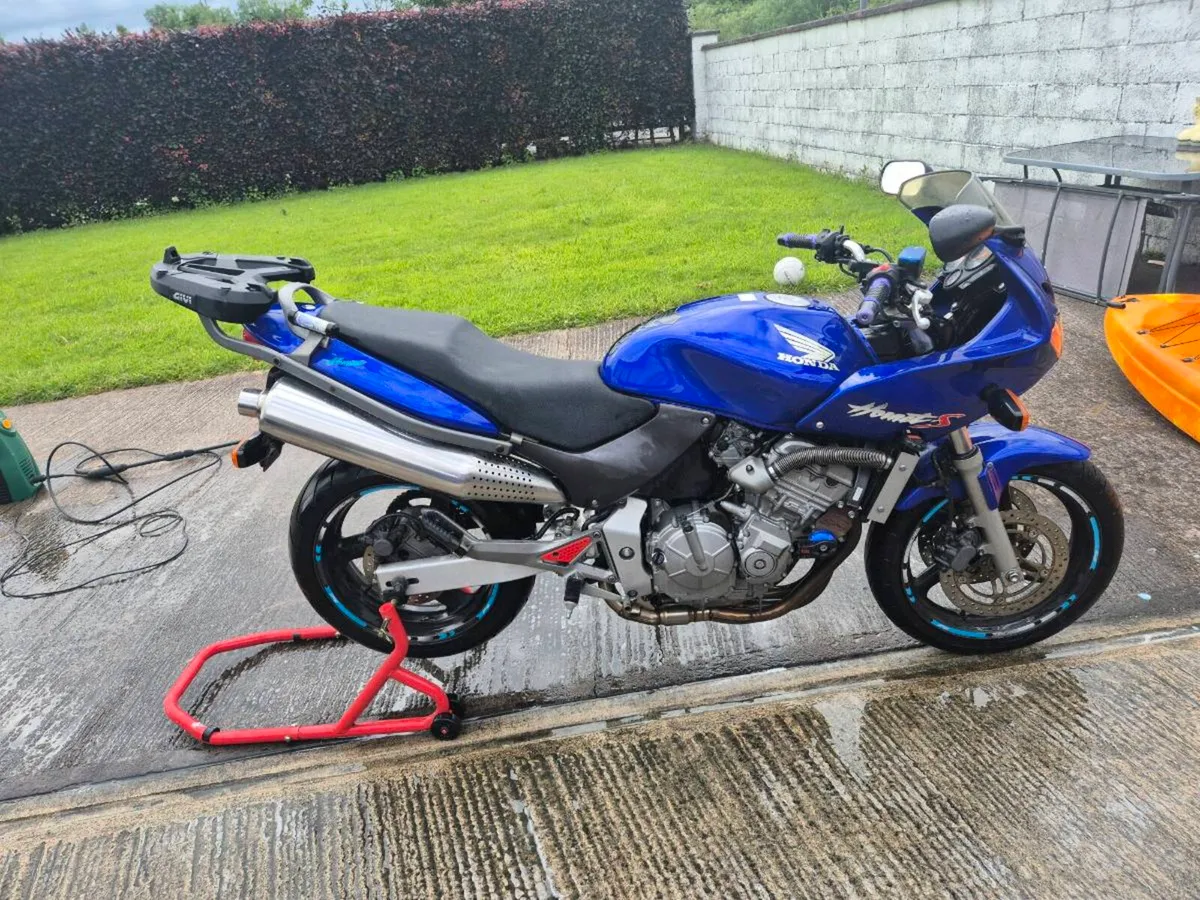 Honda hornet - Image 3