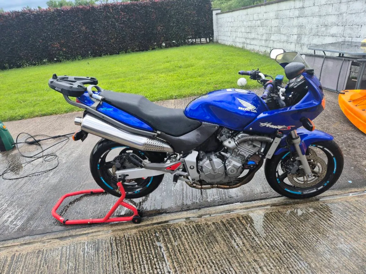 Honda hornet - Image 4