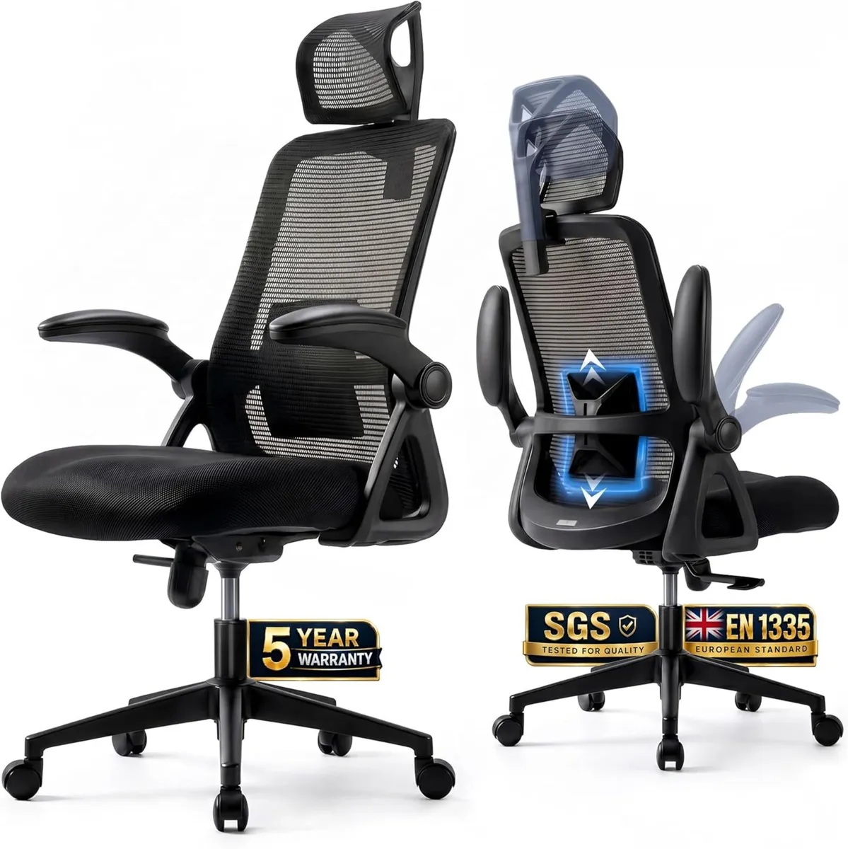 Ergonomic Office Chair Back Support and Long Hours - Image 1
