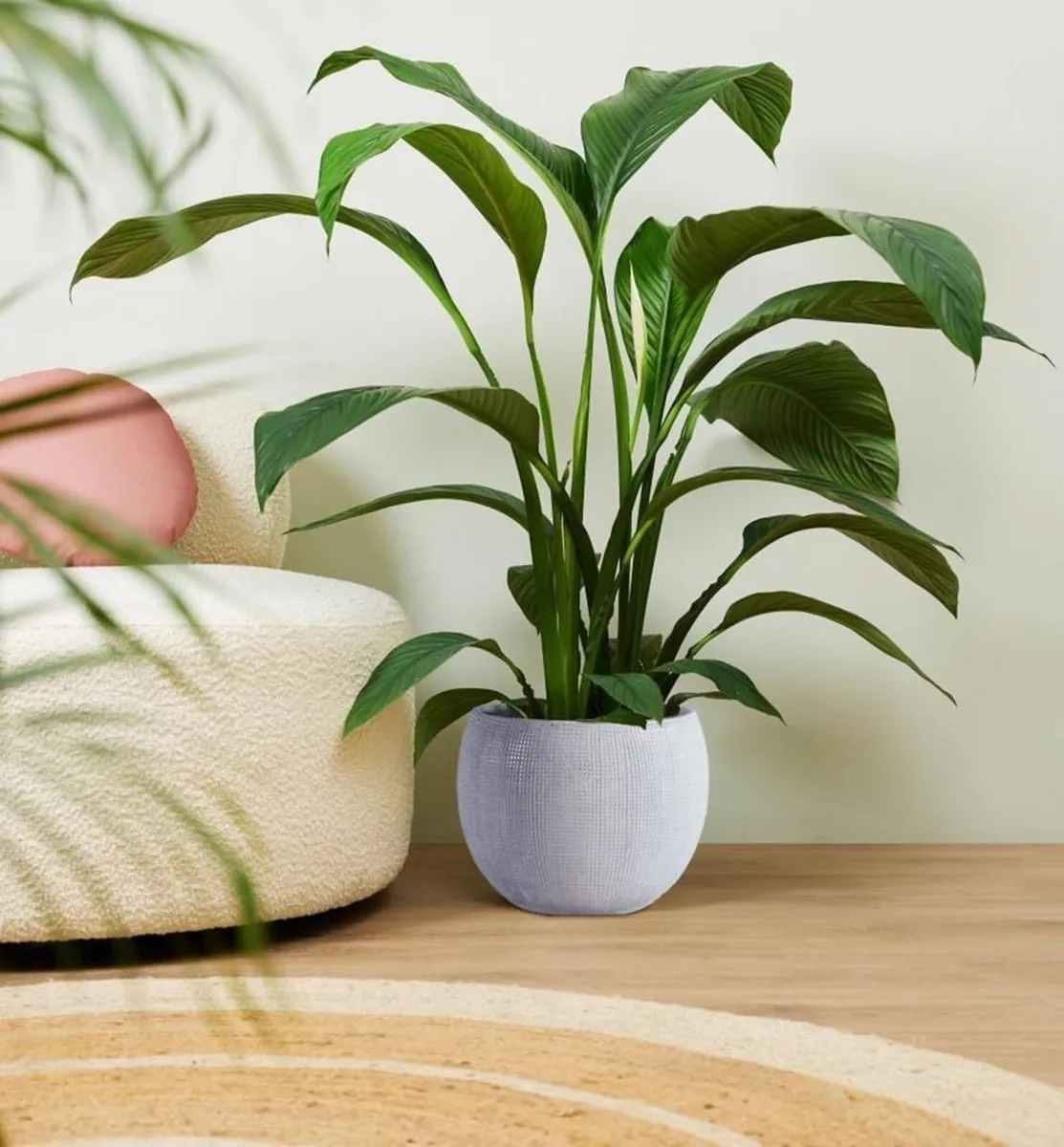 Ceramic Plant Pot Flower Pots - Image 3