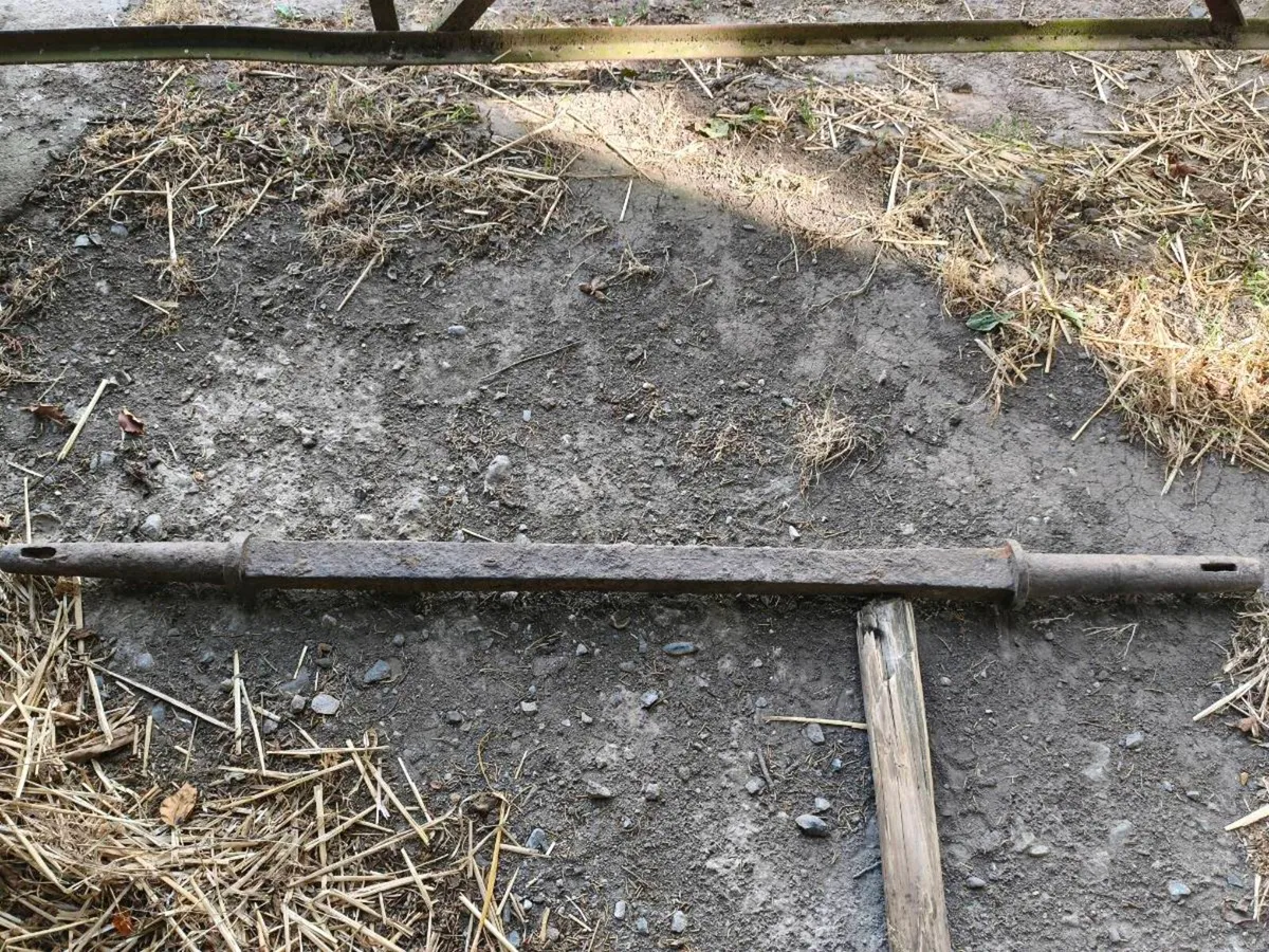 Axle for horse chart - Image 2