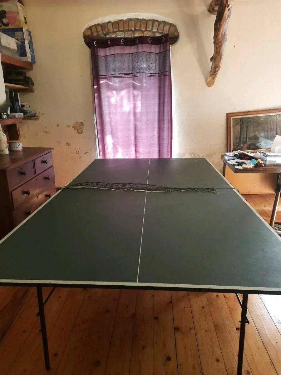 Butterfly table tennis table - Image 1