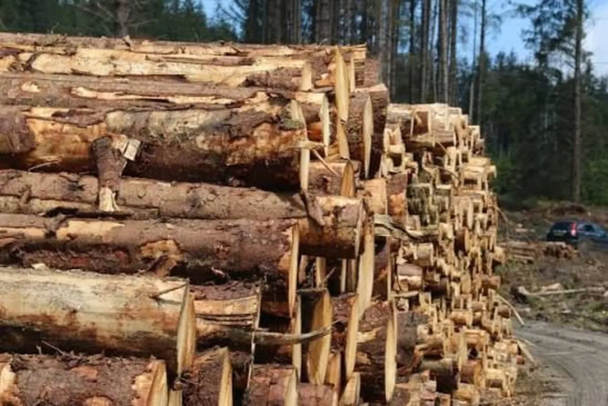 Ash timber in 3 metre lenghts for sale  Co, Meath - Image 1