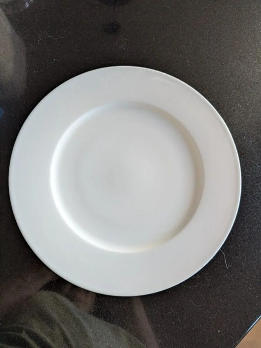 Villeroy & Boch Dinner plates - Image 1