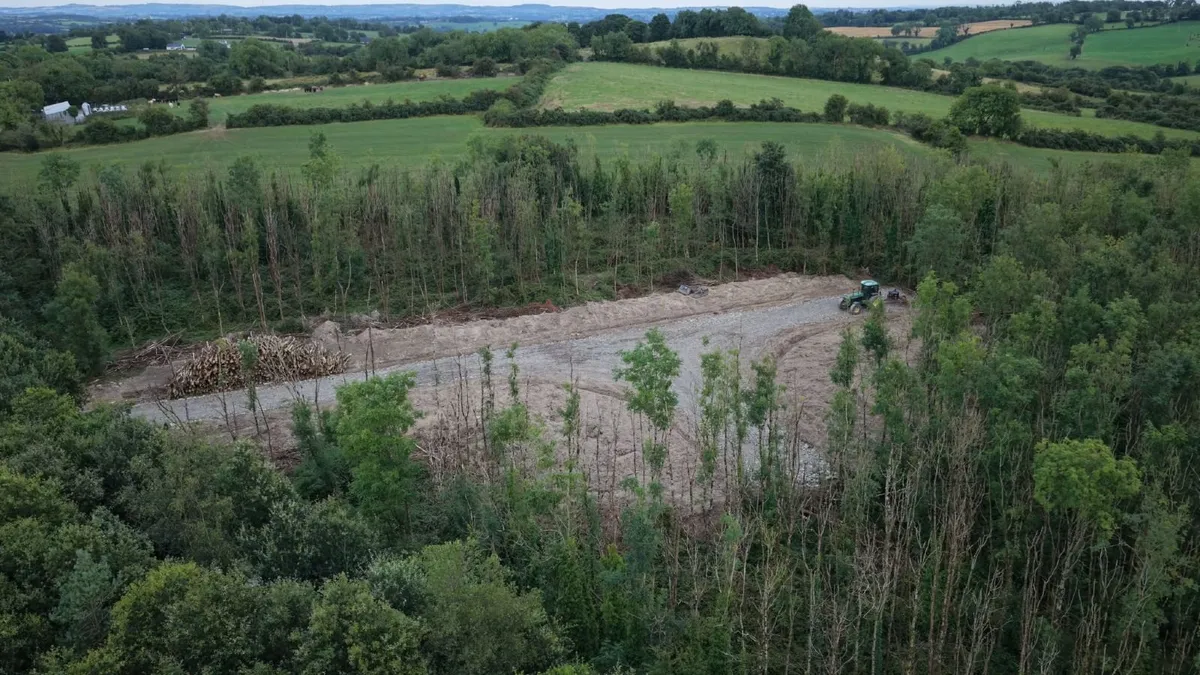 Ash timber in 3 metre lenghts for sale  Co, Meath - Image 3