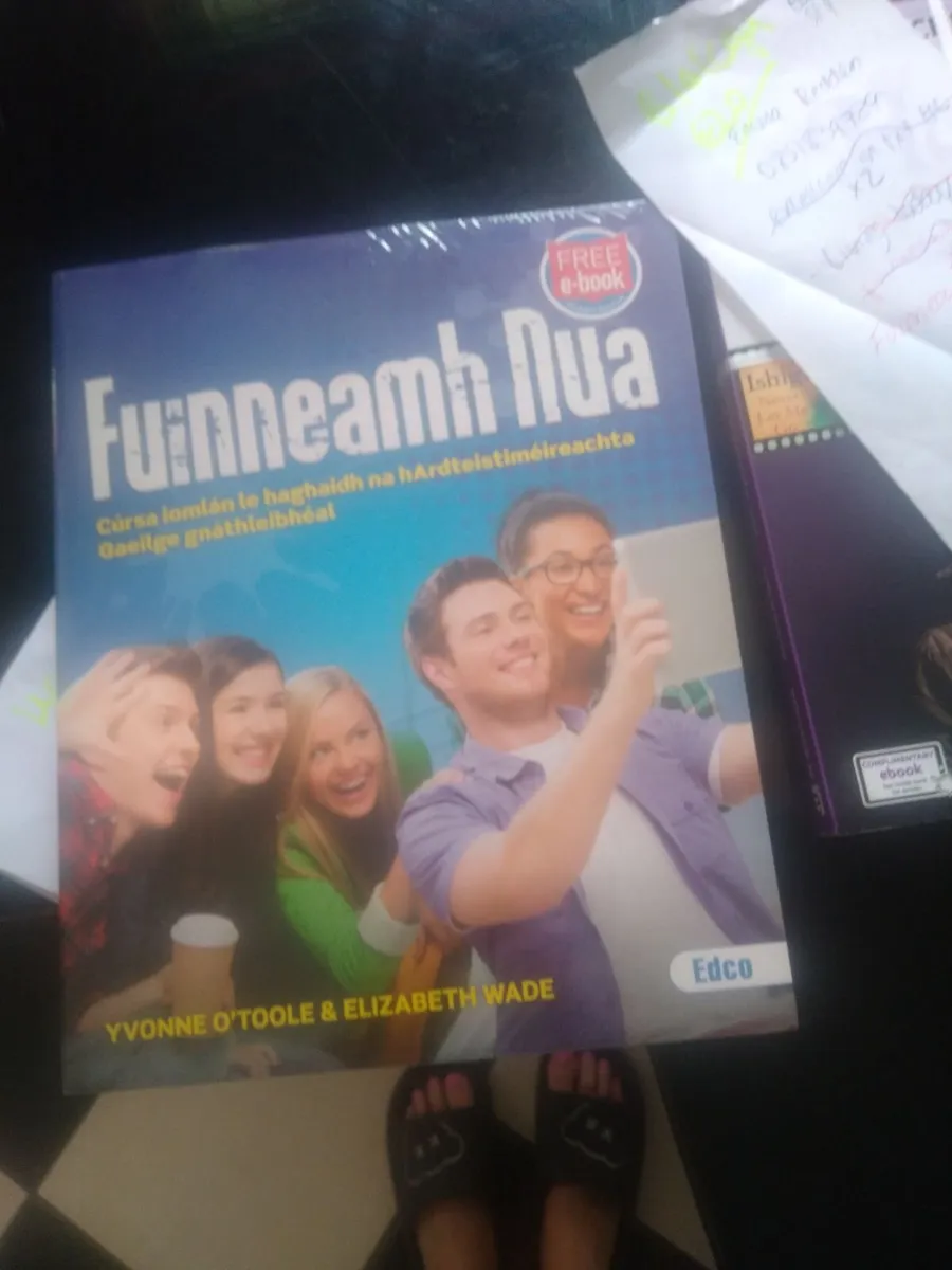 Leaving cert school books - Image 1