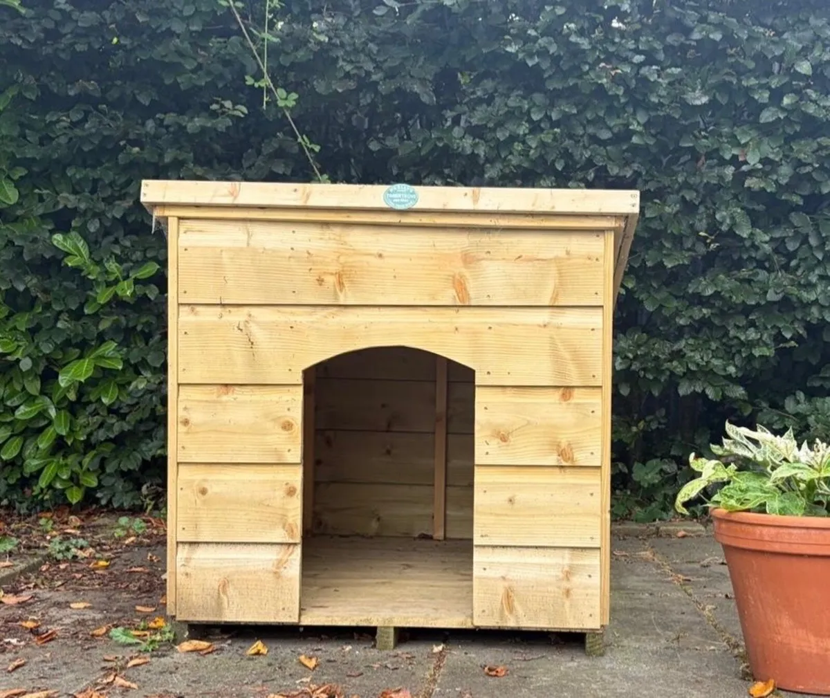 FLAT ROOF DOG KENNEL - Image 4