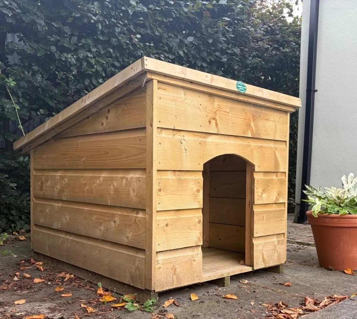 FLAT ROOF DOG KENNEL - Image 1