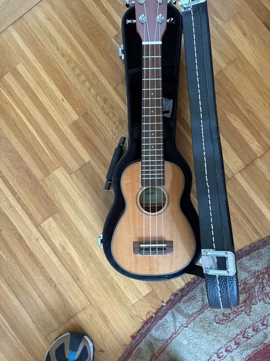 Musical instrument - Image 1