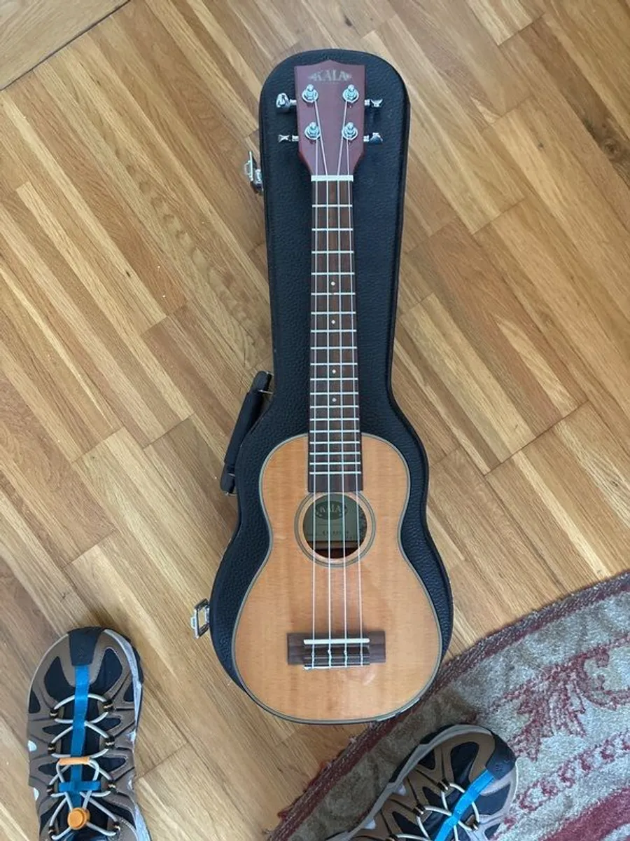 Musical instrument - Image 2