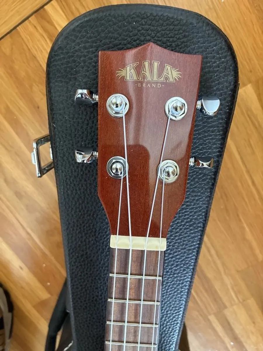 Musical instrument - Image 4