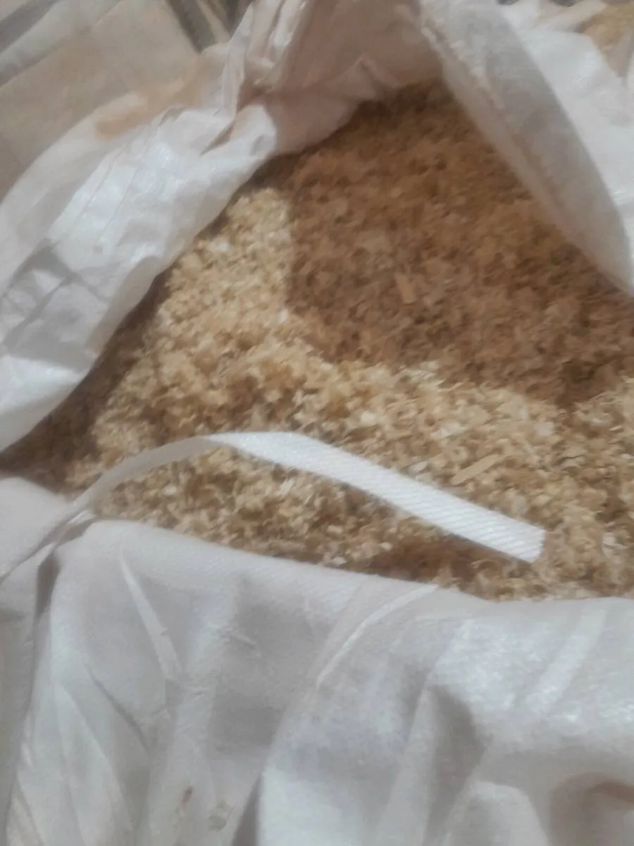 Sawdust - Image 1