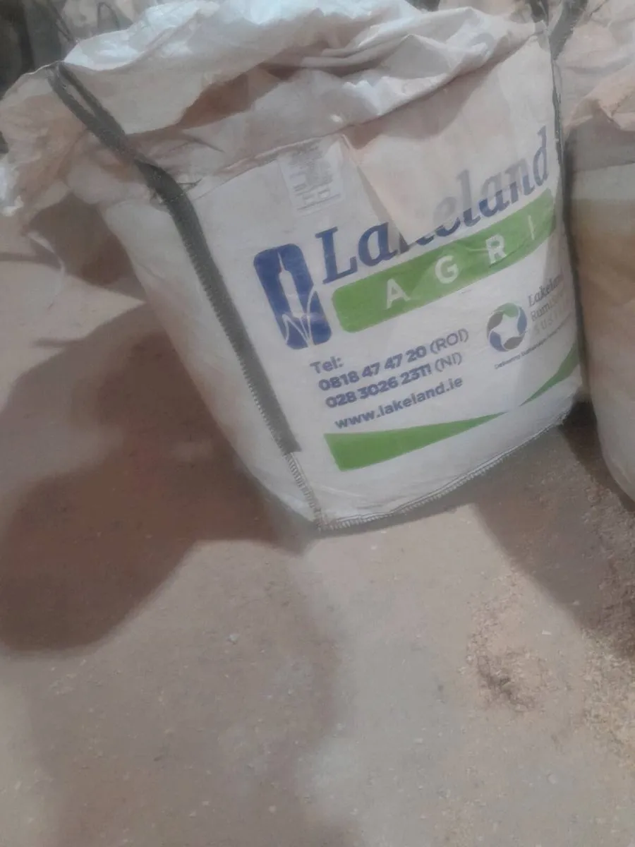 Sawdust - Image 2