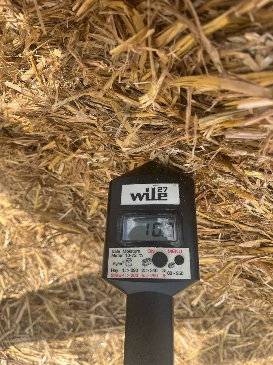 Wheaten straw 8x4x3 - Image 3