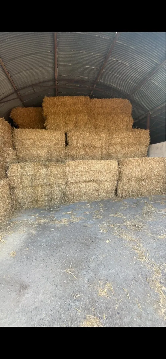 Wheaten straw 8x4x3 - Image 1
