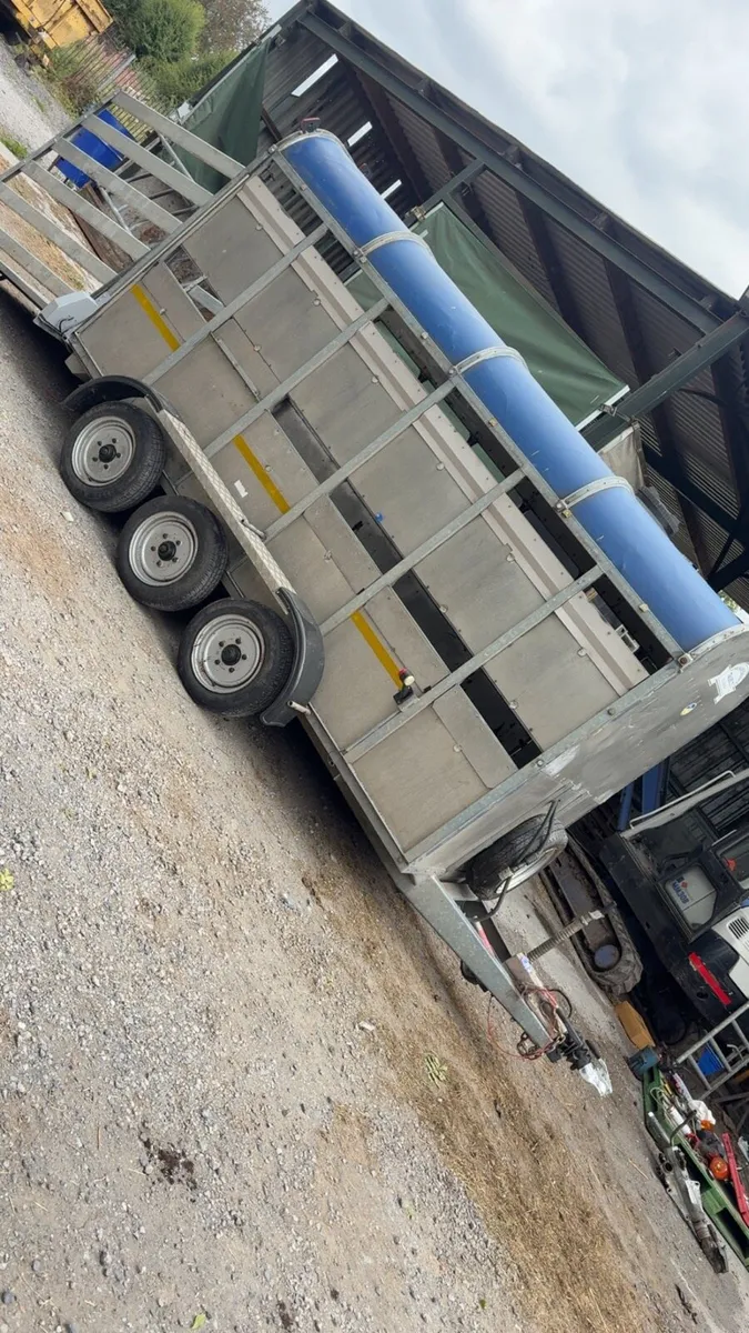 Cattle trailer - Image 2
