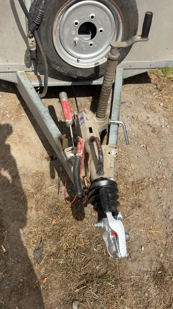 Cattle trailer - Image 3