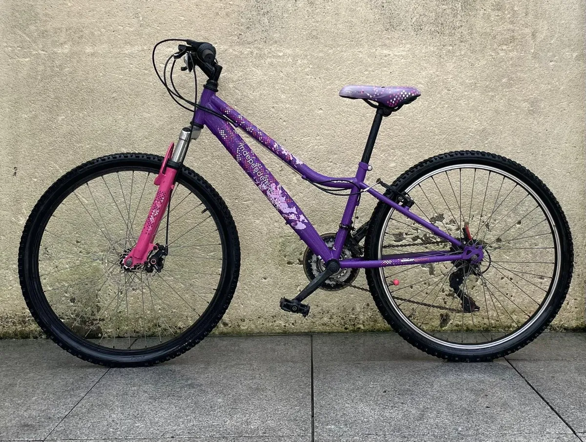 Apollo bicycle - Image 2