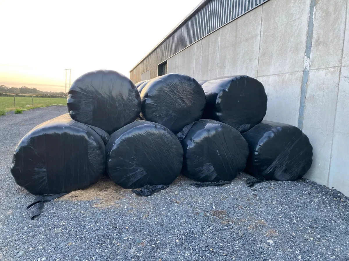 Haylage - Image 2