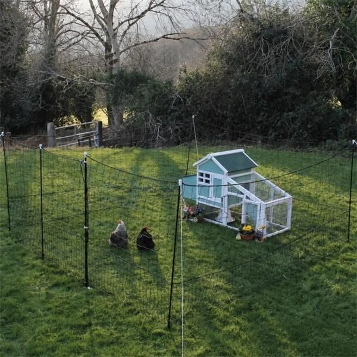 Chicken Fencing Pen - Image 2