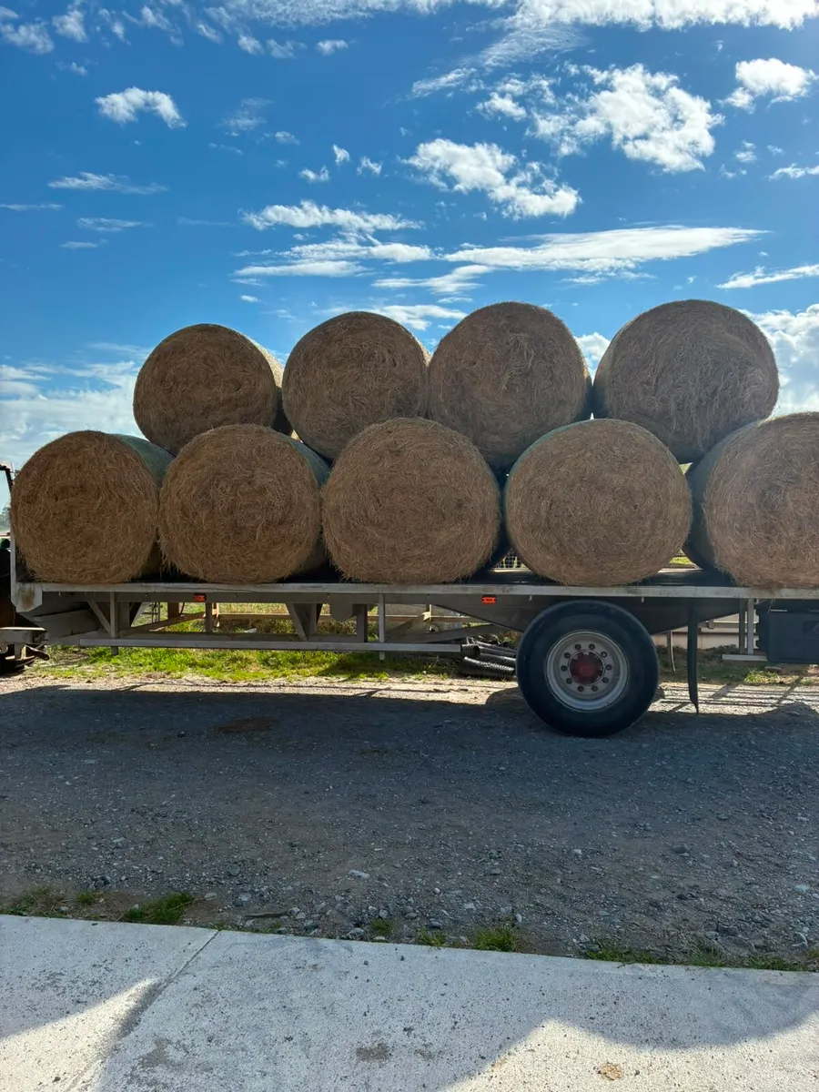 Hay for Sale - Image 1