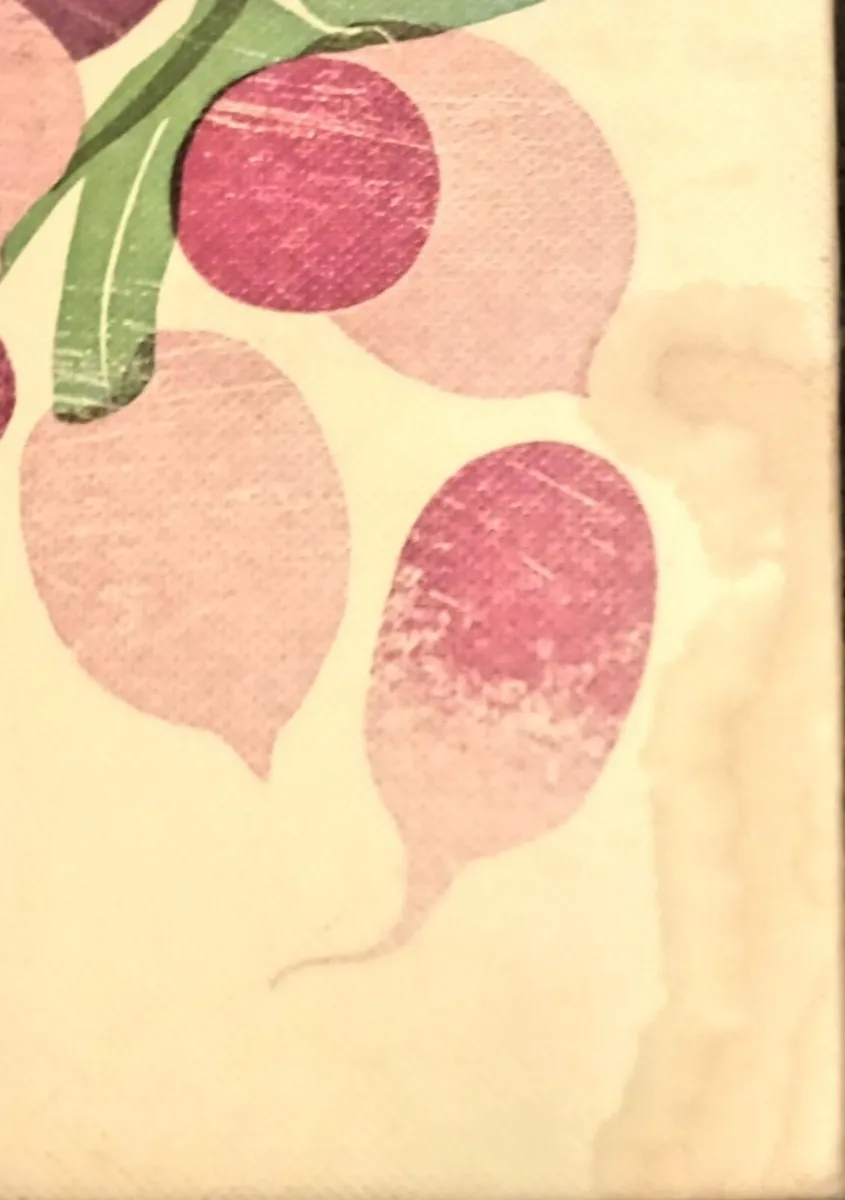 Two Darina Allen Cookbooks - Image 2