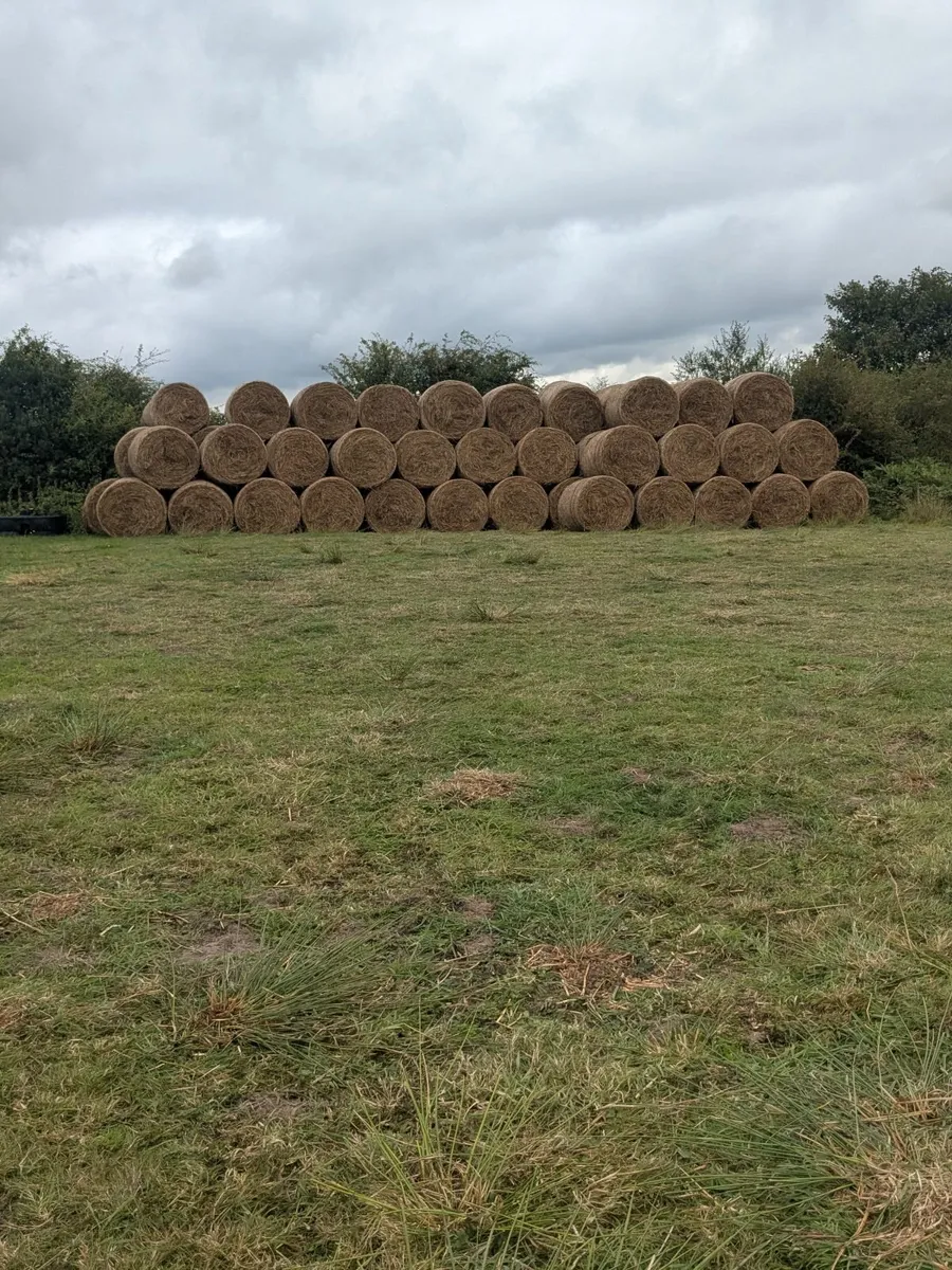 Bales of rushes - Image 1