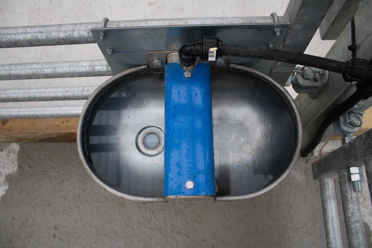 Teemore Stainless Steel Double Bowl Drinker - Image 2