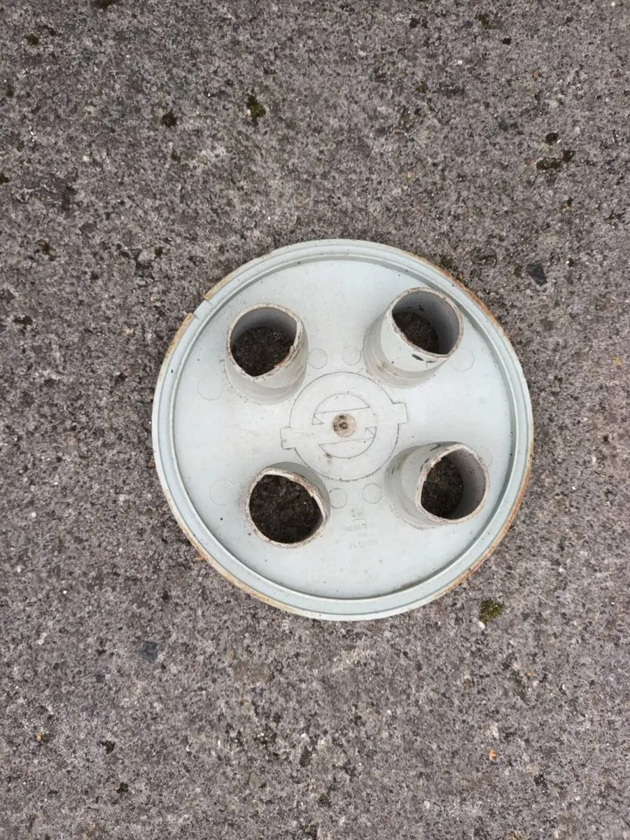 Hubcaps - Image 2