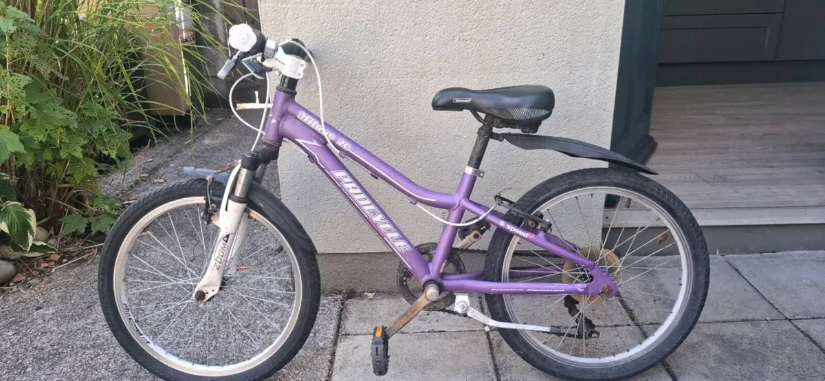 Girls 6 gear bike - Image 1