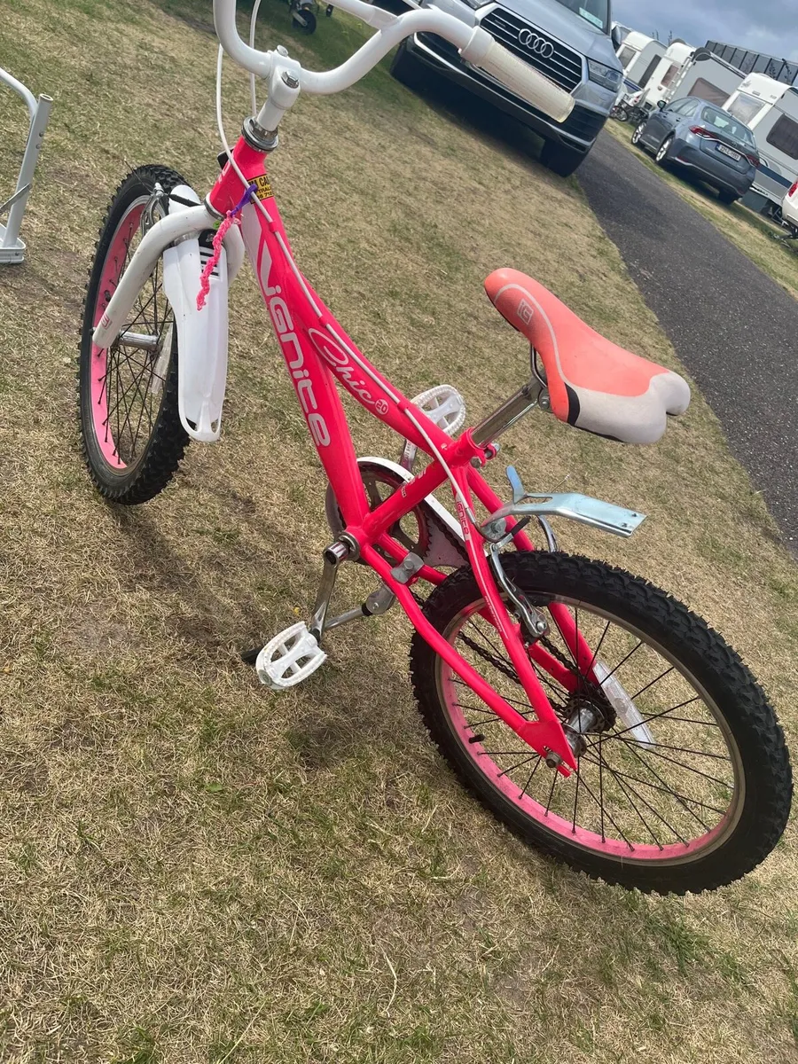 20” Girls Ignite Chic Bike - Image 1