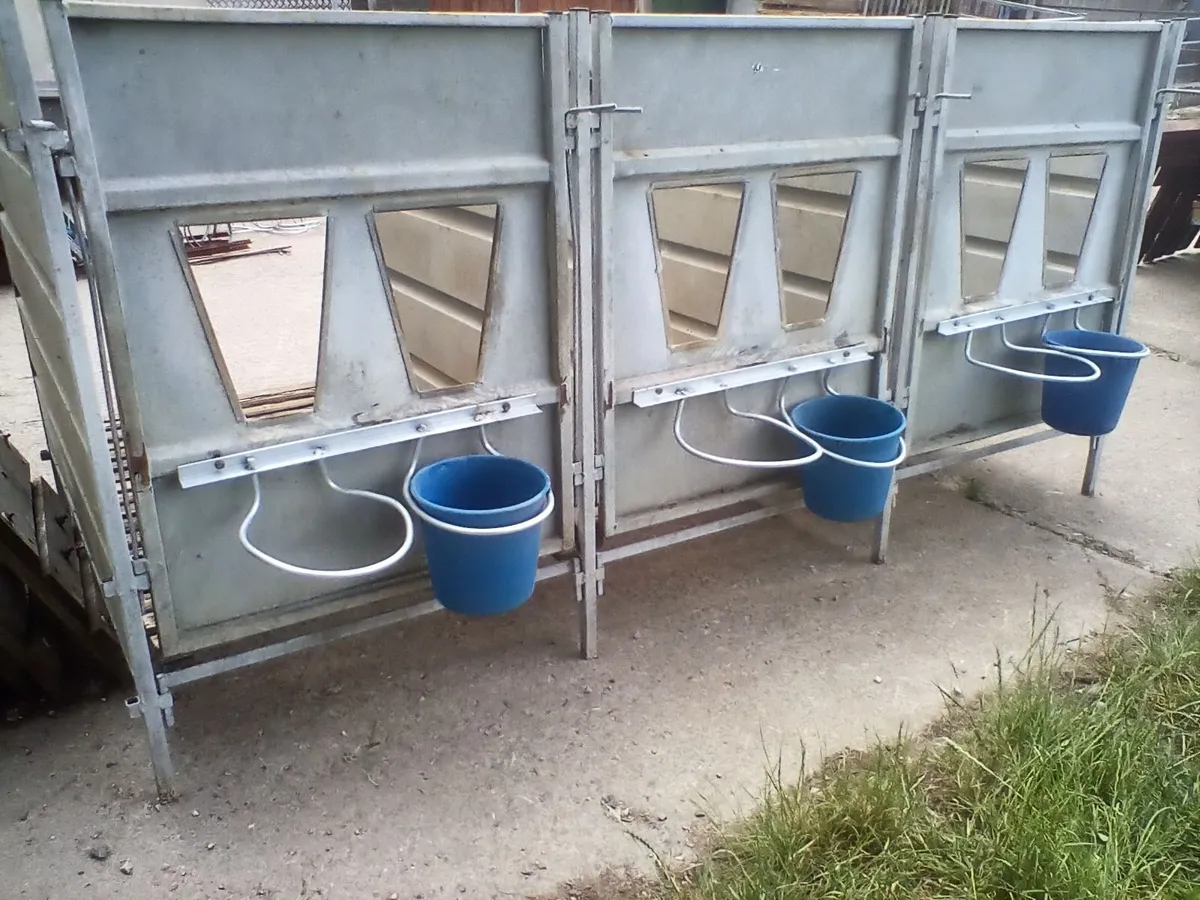 Single calf pens with slats and shed - Image 1