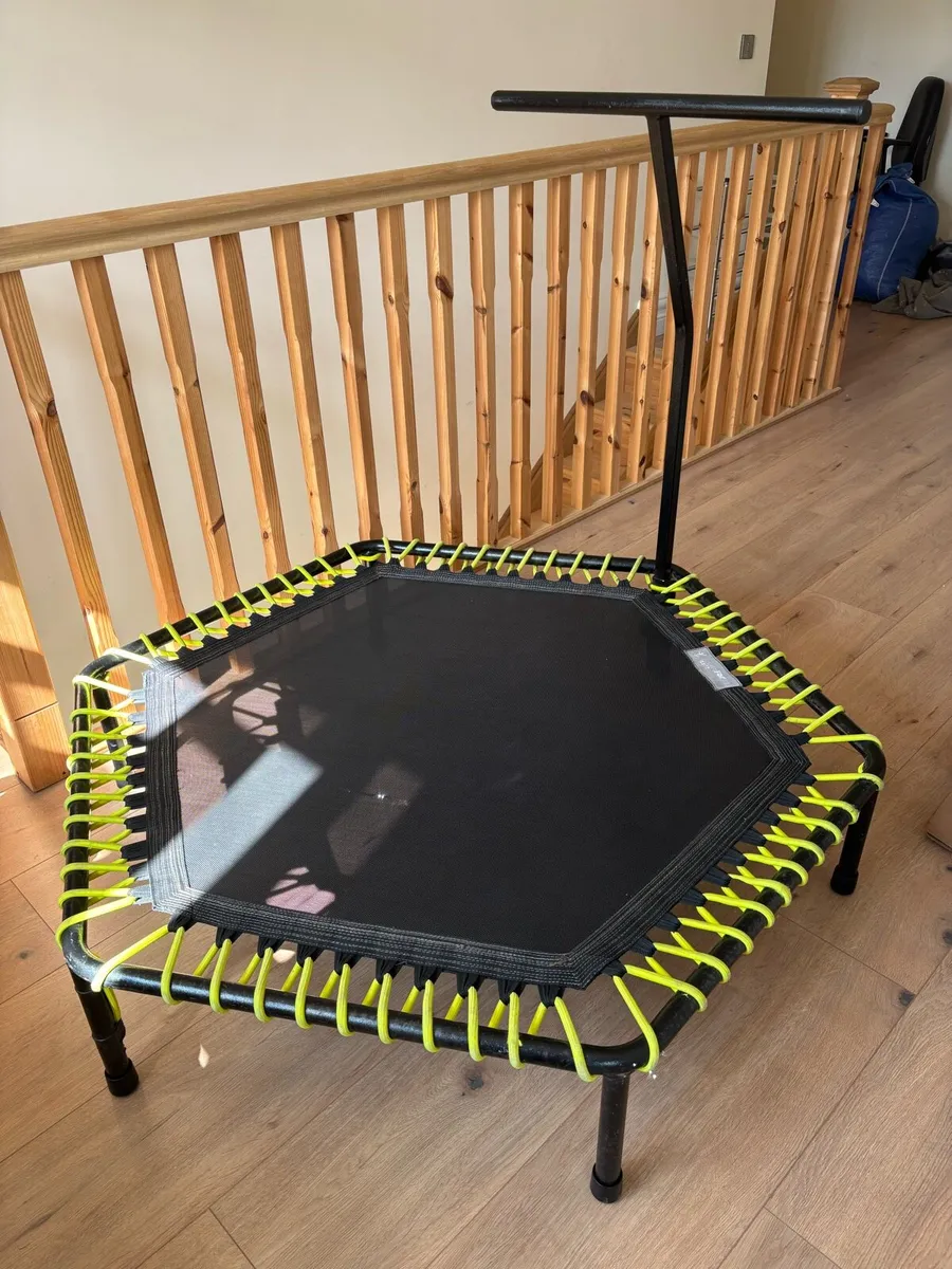 Trampoline / rebounder - JumpforJoy - Image 1