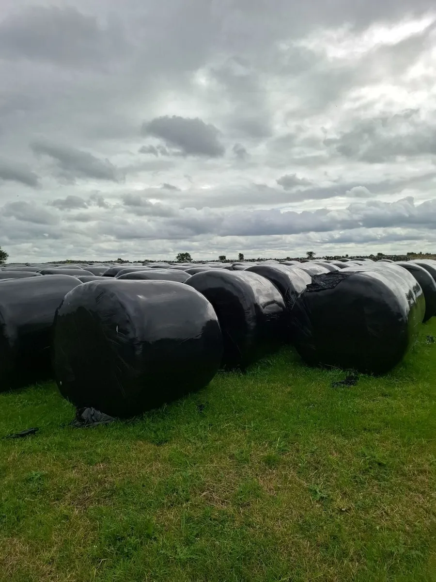 Haylage - Image 1