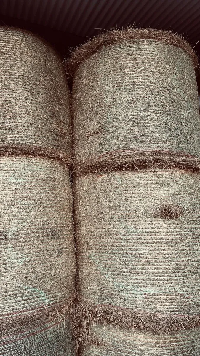 Hay