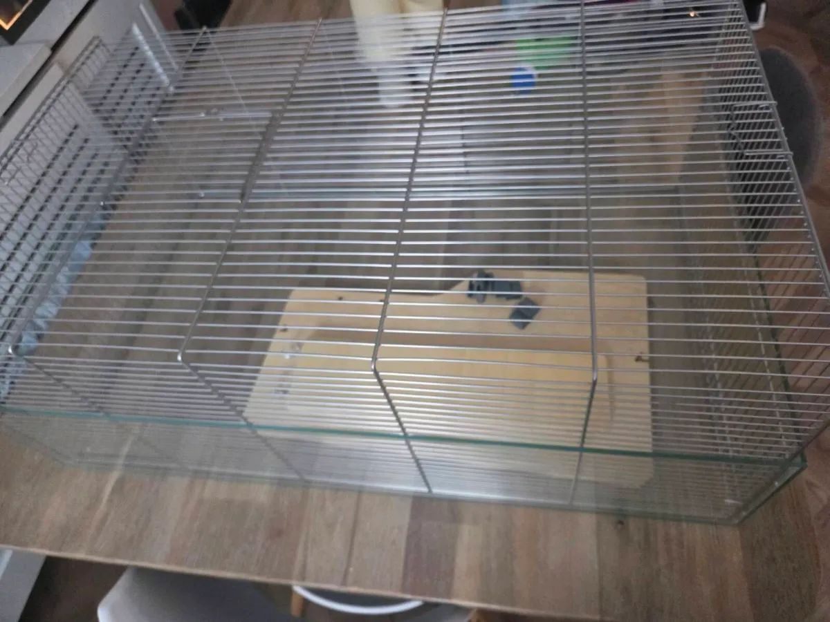 Large habitat for small furry animal - Image 3