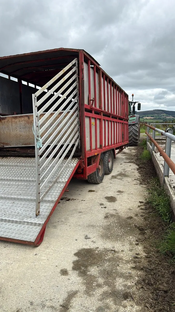 Cattle/sheep Trailer - Image 2