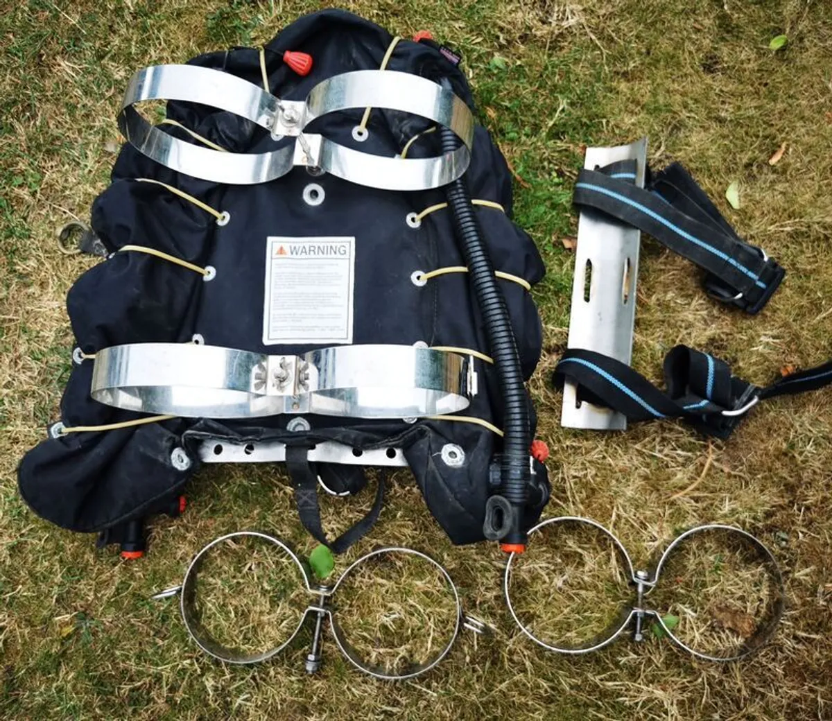 diving - Image 4