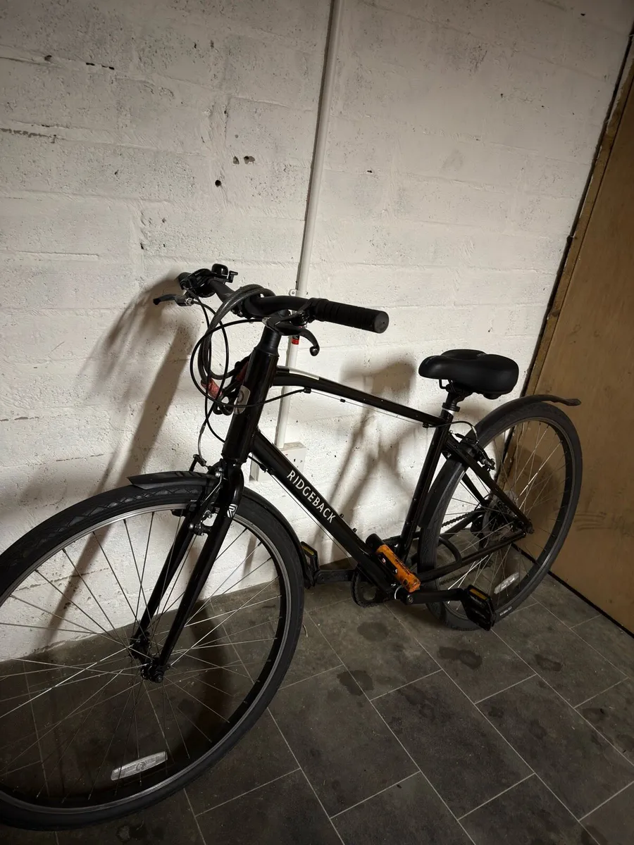 Ridgeback bicycle - Image 2