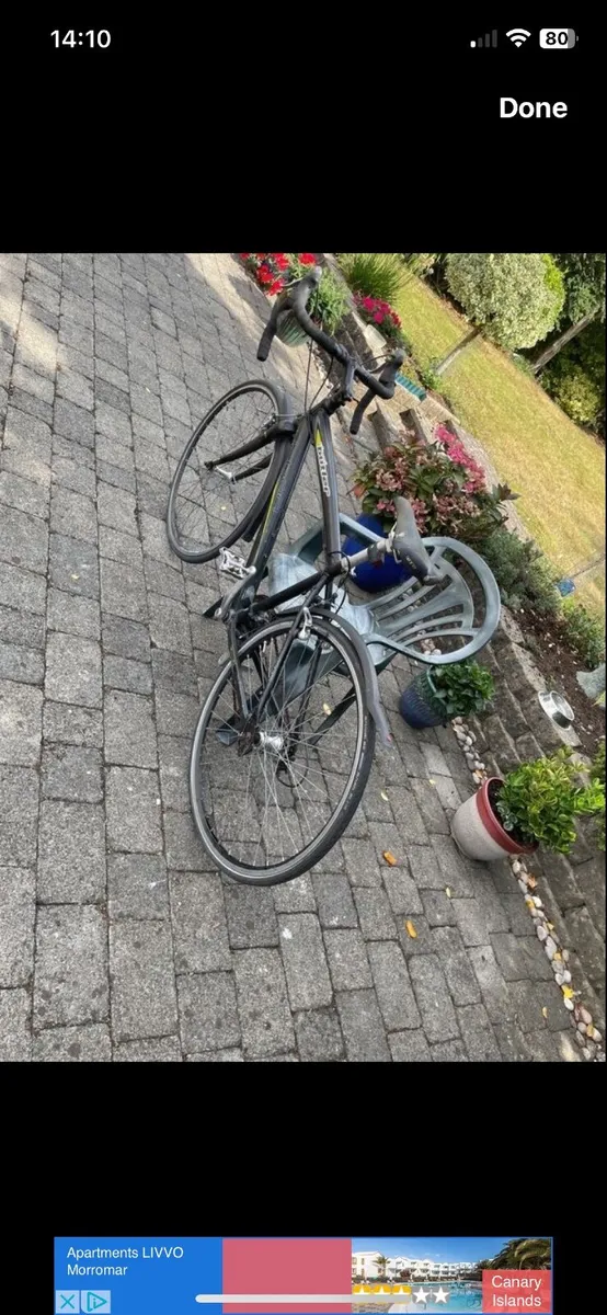 Bike - Image 3