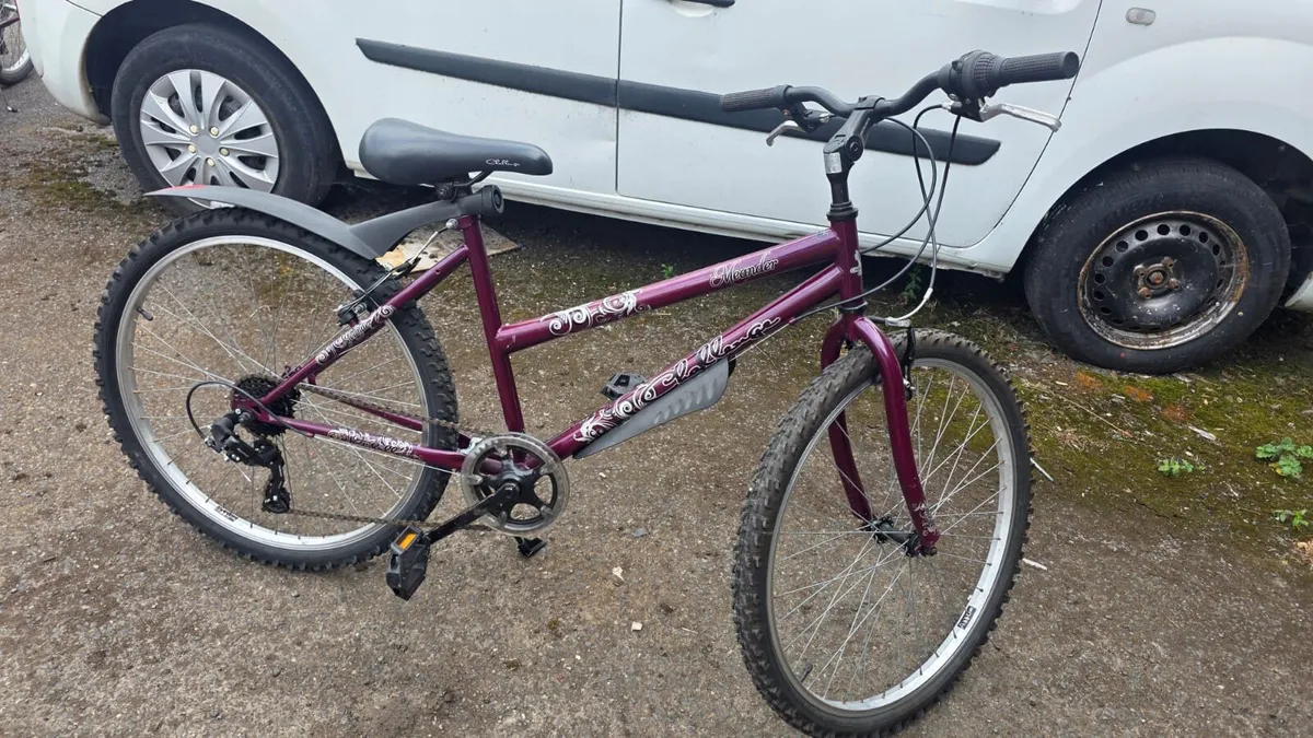 Meander 26” Bike – 17” Frame – Fully Serviced - Image 1