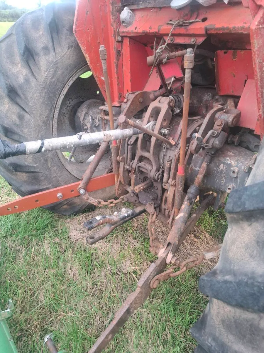 Massey Ferguson 565 - Image 3