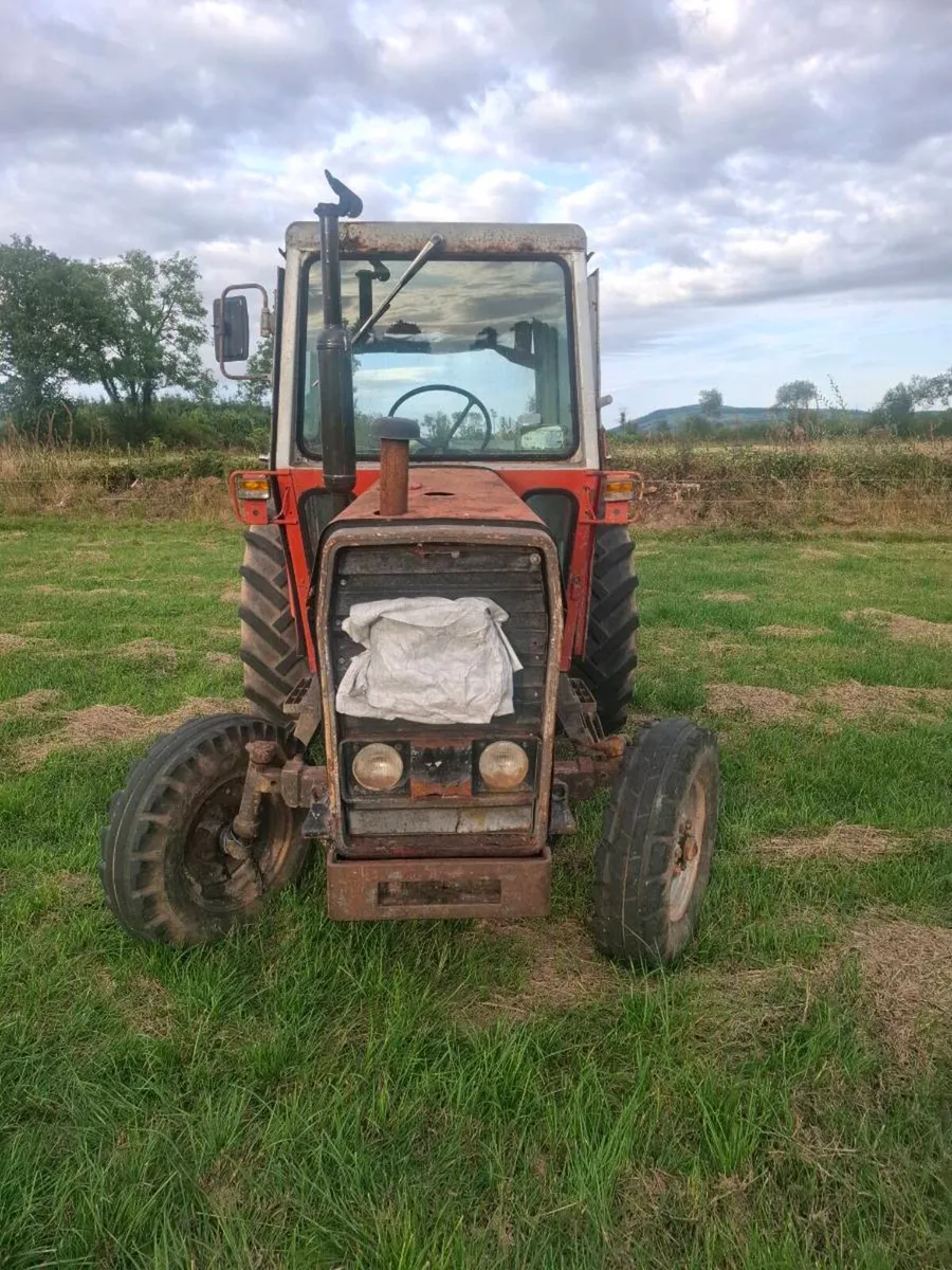 Massey Ferguson 565 - Image 1