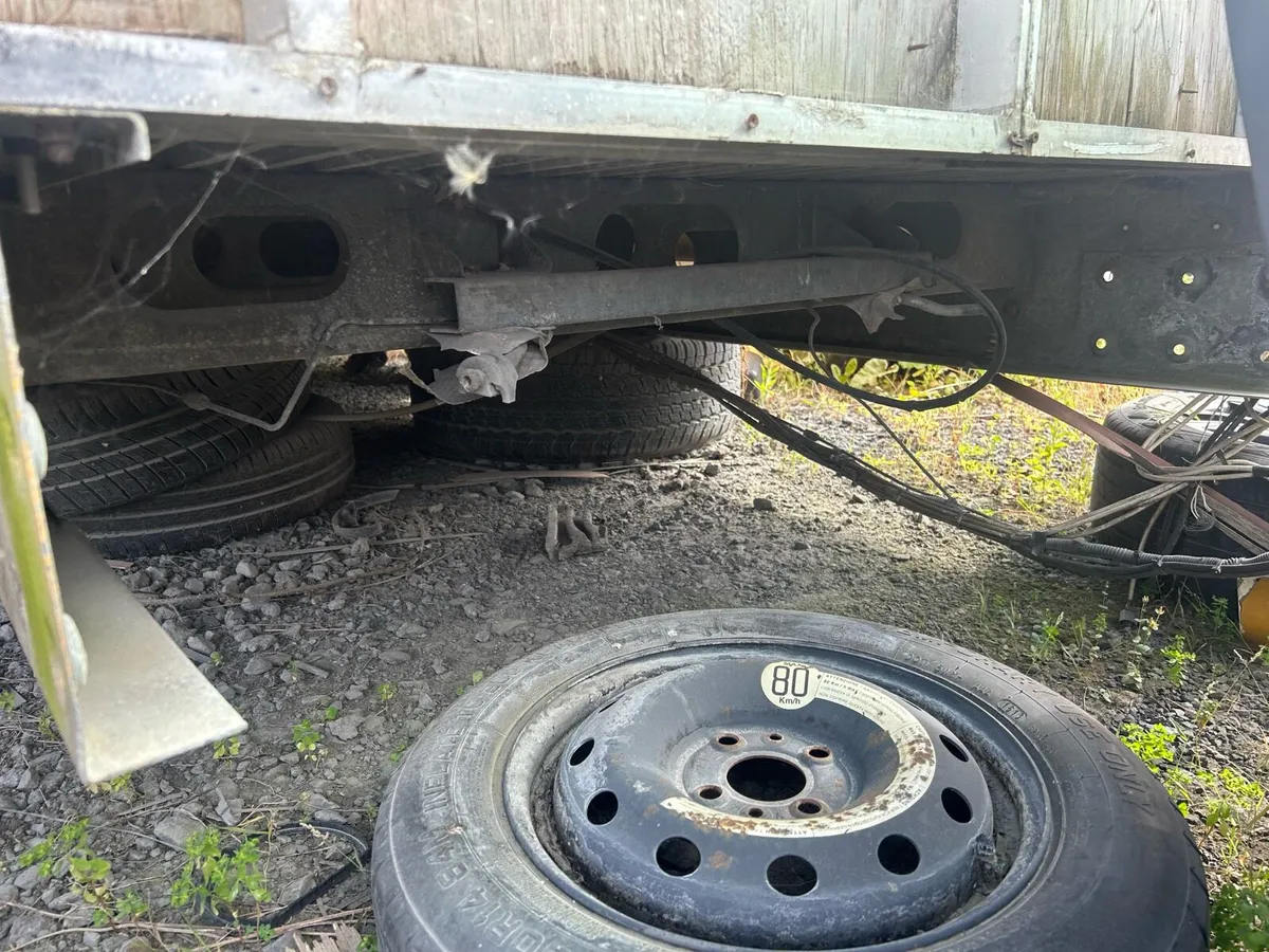 Horse box body suit Ducato/relay - Image 3