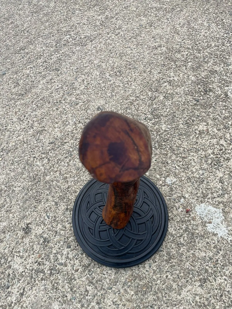 Bug oak - Image 1