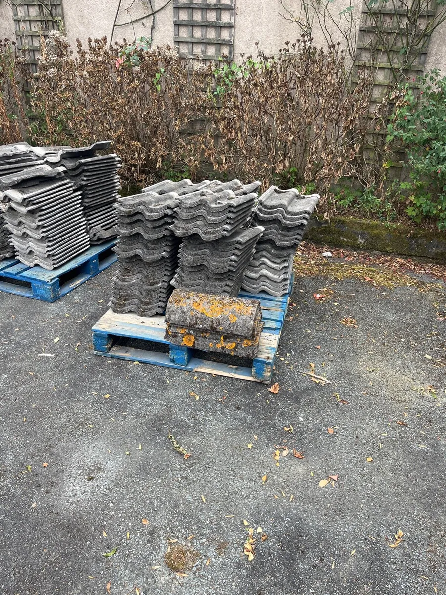 Roof tiles - Image 4