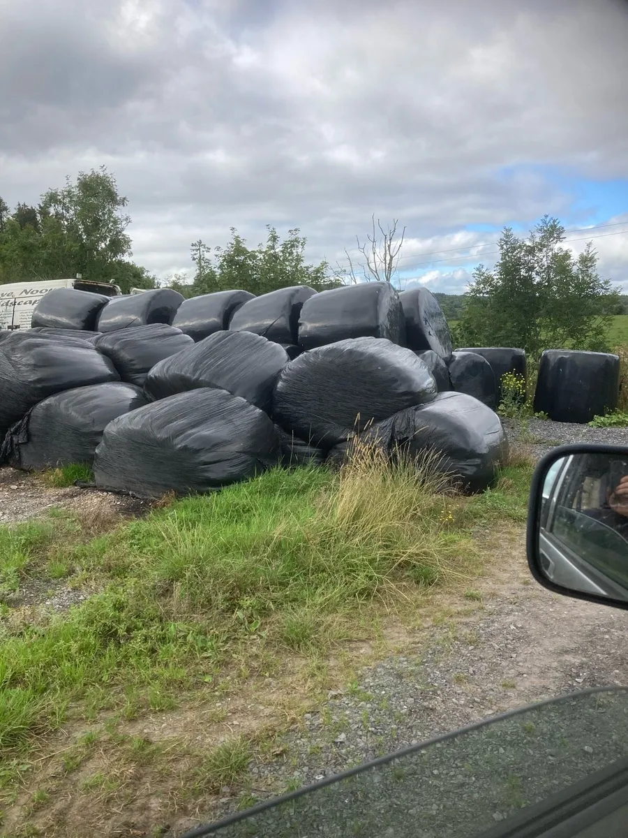 Silage